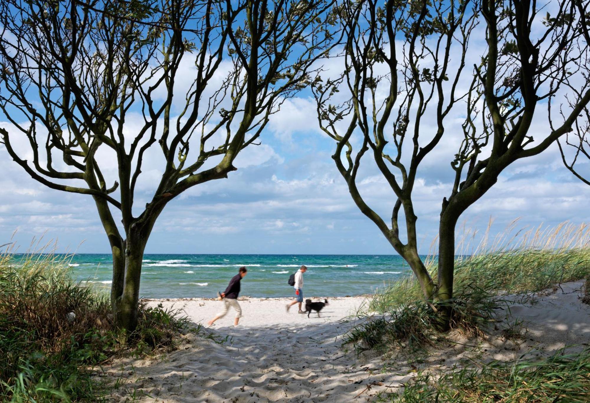 Reihenhaeuser Timmendorf Strand Haus Sonnenaufgang Insel Poel Ngoại thất bức ảnh